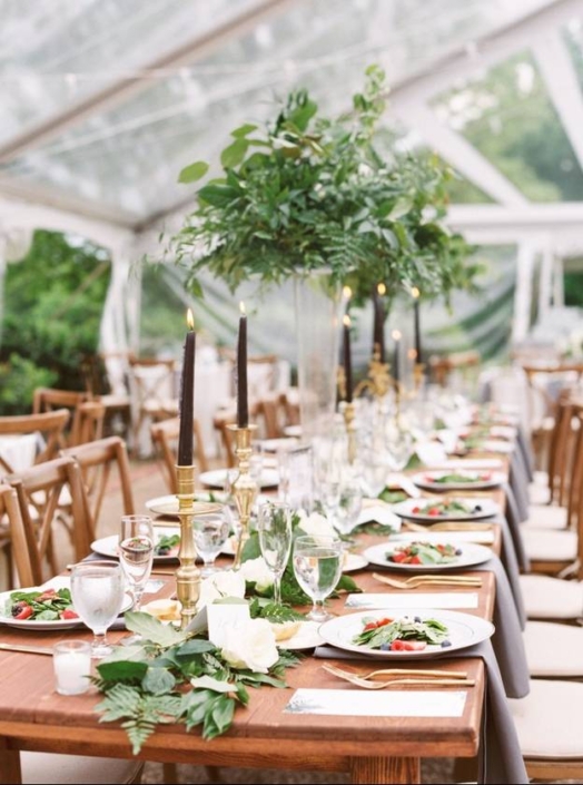 Beautiful wedding reception set under a tent with hanging plants.